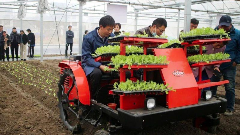 小型饲料加工设备的价格到底差在哪